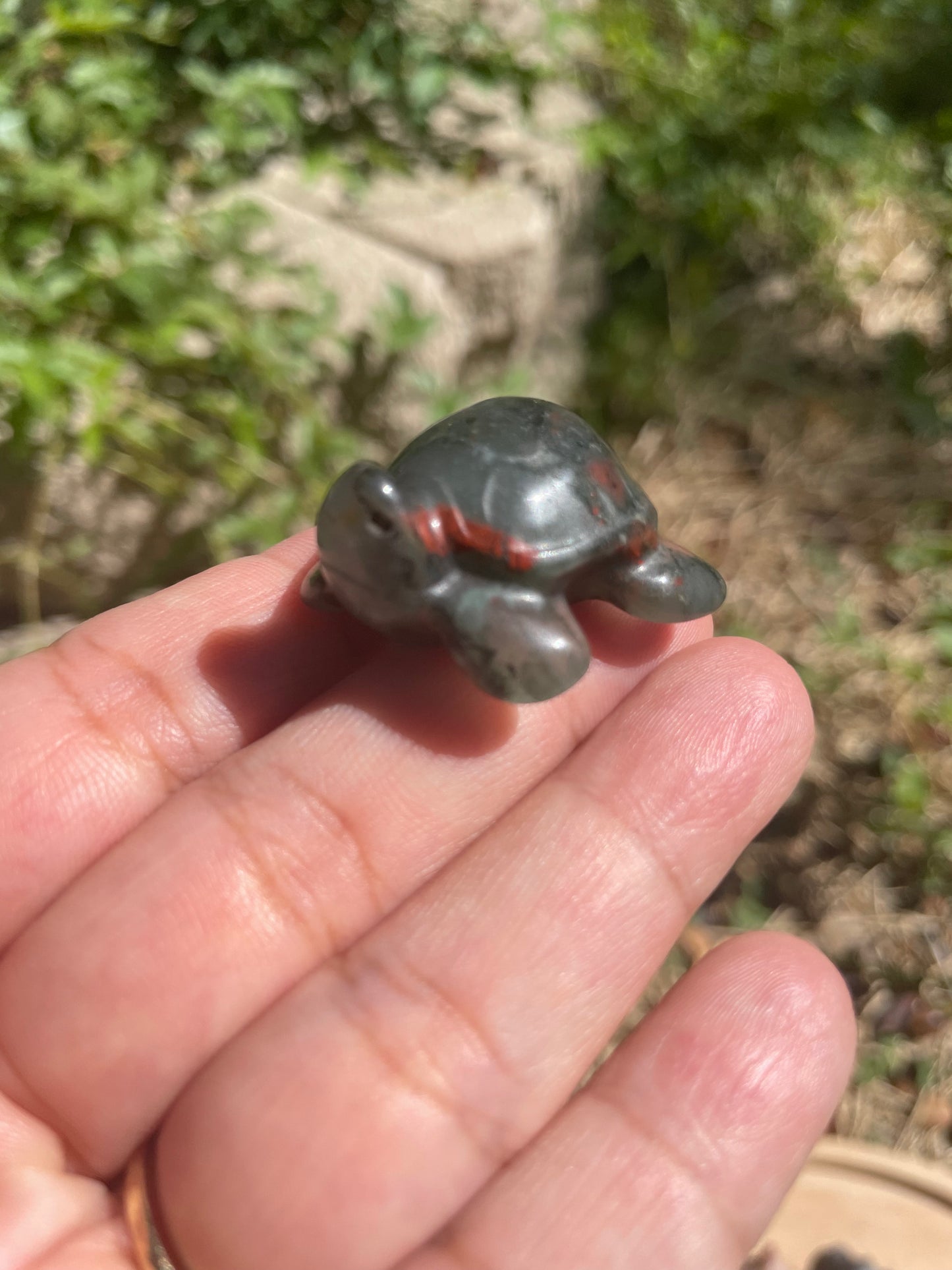 Sea Turtle Carving - Intuitive Pick
