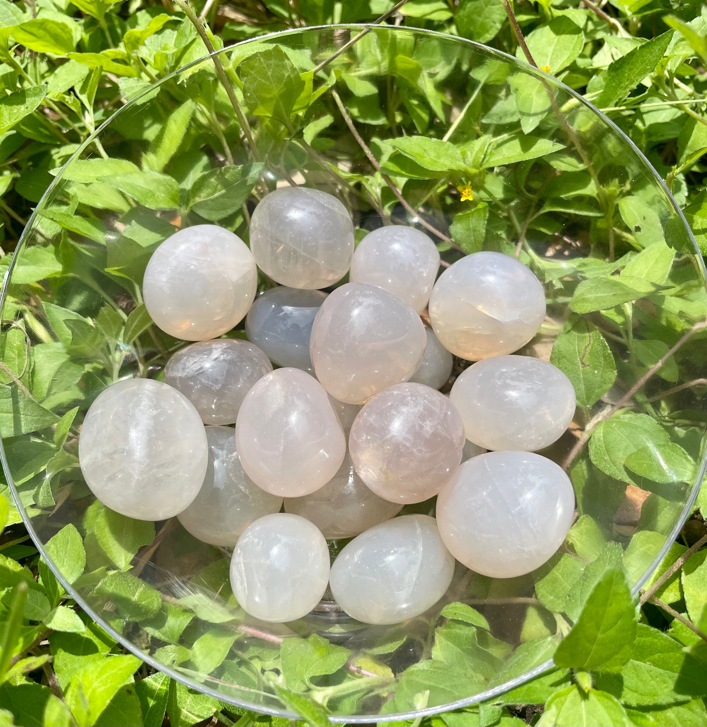 Blue Rose Quartz Tumble