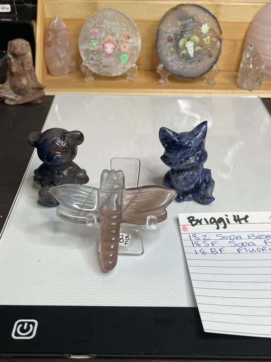 @Briggitte 7/11/25-Pd