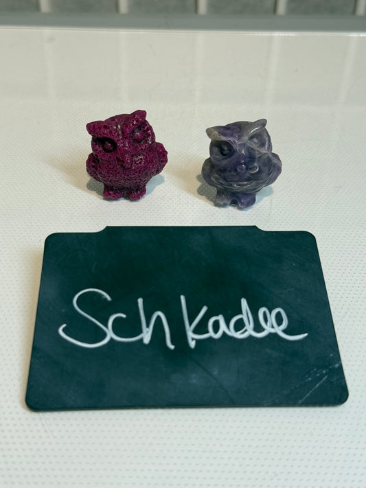Schkadee 8/29/25 CTC -PDV