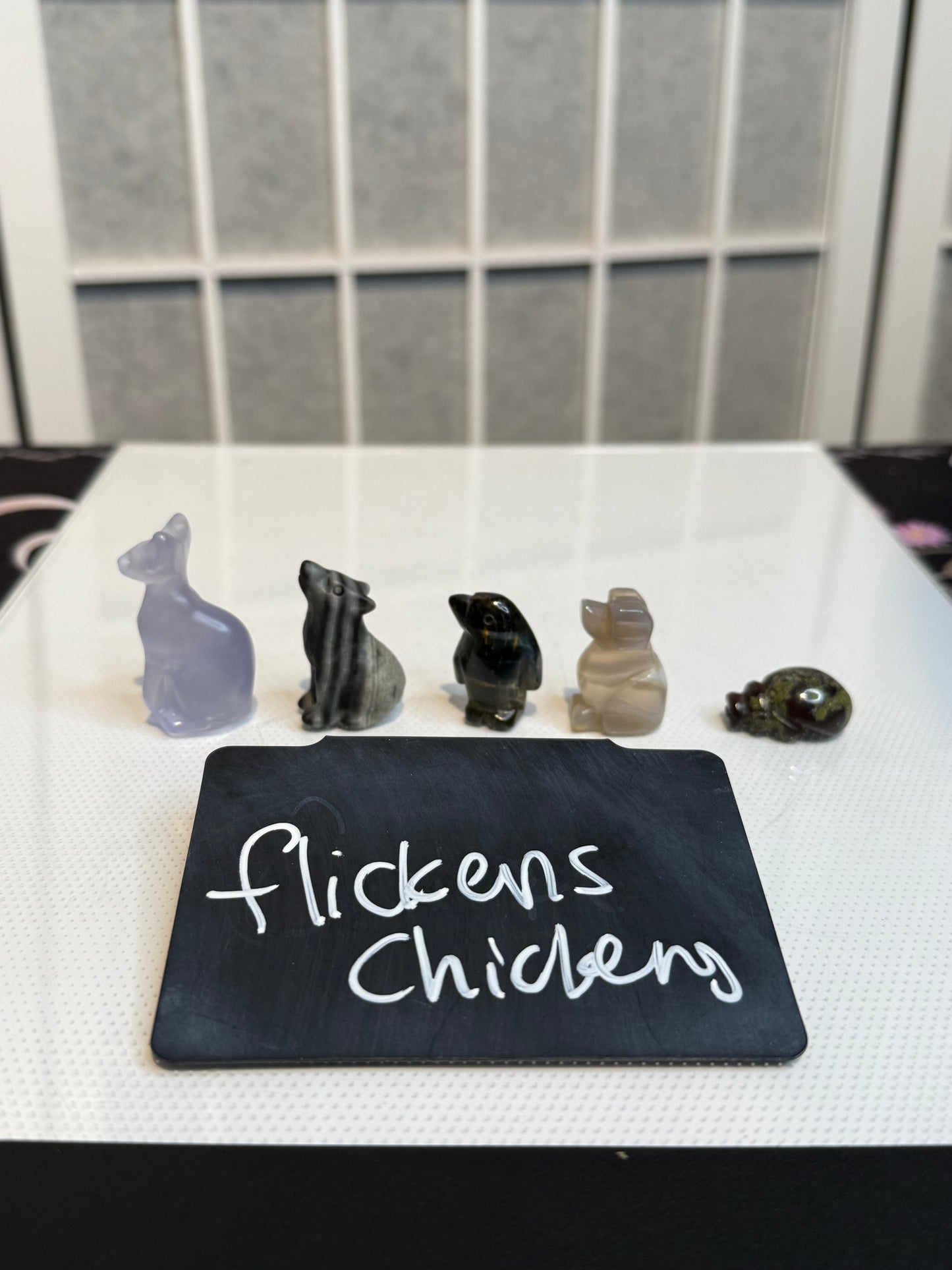 @Flickens_Chickens 10/10/25 - PDV