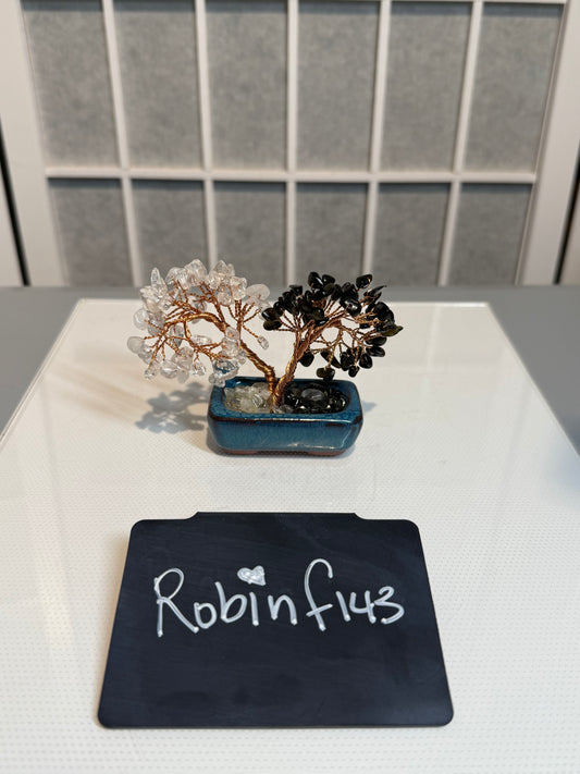 Robinf143 8/29/25 CTC