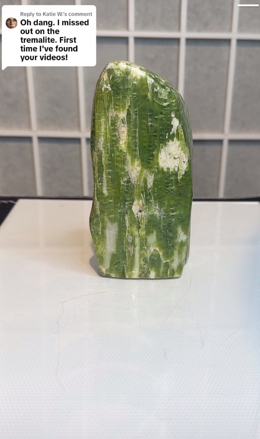 Katie W. @geenie11 Comment to Claim