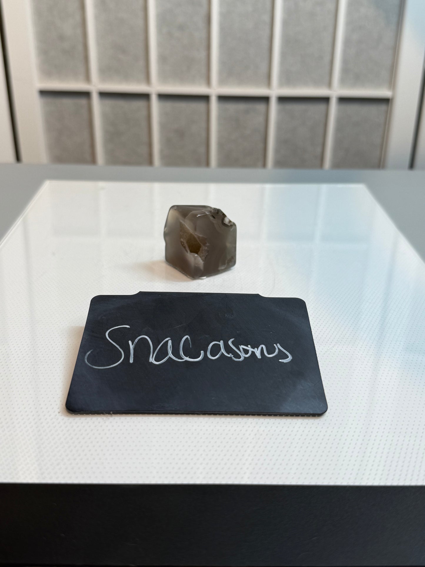 Snacasaurus 9/23/25 Live Sales Claims